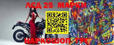 гидра Славгород