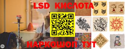 гидра Славгород
