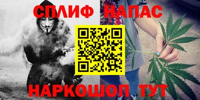 гидра Славгород